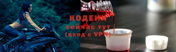 хмурый Горняк