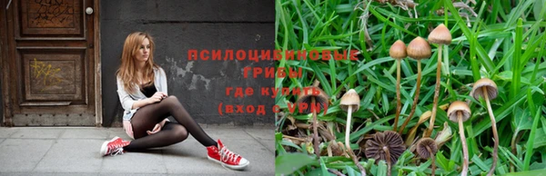 2c-b Абдулино