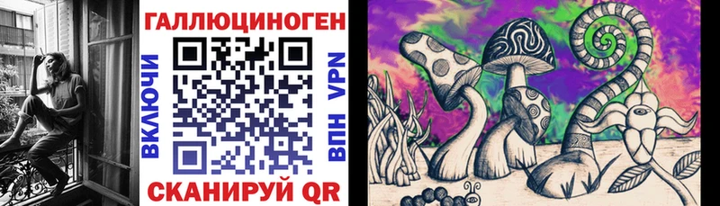 darknet формула  хочу   Фокино  Псилоцибиновые грибы мицелий 